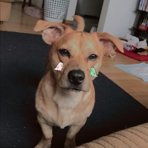 Meet your Posher, Adrianna